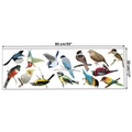Detaillierte Maße der bunten Vogel-Wandaufkleber (90x30 cm) für die Heimdekoration - KSY-58 Elster 30*90CM Ohne Verpackung
