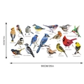 Detailed chart showing 17 watercolor bird species wall decal with 90x40cm size dimensions - Packaged in Bag