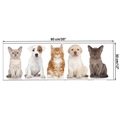 Detailed view of 5 cats and dogs wall sticker with dimensions 90cm by 30cm - 30*90cm