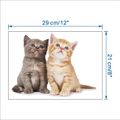 Detailansicht der 3D Katzen-Wandaufkleber Maße mit 29 cm Breite und 21 cm Höhe - 21*29cm