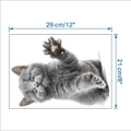 Tabella delle taglie per adesivo murale gatto British Shorthair grigio di 29cm per 21cm - Stile Gattino Grigio che Tende la Zampa (KSY-96E)