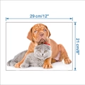 Dimensioni dettagliate dell'adesivo da parete con cuccioli e gattini da 29x21 cm - Stile Cucciolo che Abbraccia Gatto Grigio (KSY-96G)