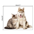 Detailed dimensions of hand-painted husky and cat wall sticker, measuring 50cm by 40cm - 40*50cm