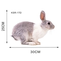Detailed dimension guide for KSR-17D rabbit wall decal showing 25cm height and 30cm length - Grey and White Rabbit (KSR-17D)