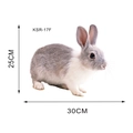 Detail showing highly realistic 25x30cm rabbit wall sticker with measurements and model KSR-17F - Grey and White Rabbit (KSR-17F)