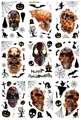 Detalle macro de pegatinas de Halloween para ventanas con calaveras, calabazas y murciélagos - 20*30cm*9pcs