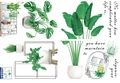 Green potted plant wall decals featuring monstera leaves and elegant hanging basket designs - 30*45CMX4 Sheets Bagged