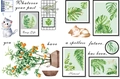 Detail of PVC wall stickers featuring hand-painted cats, green plants, and orange tree - 30x45cm (4 Sheets)