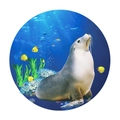 Detailed circular wall sticker showing a sea lion, tropical fish, and coral reef scenes - Sea Lion Marine Life Style (B-40*40CM)