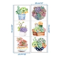Detailed size chart for watercolor succulent wall stickers showing 25x70cm dimensions - 25*70cm (2 Sheets Set)