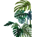 Pegatina de pared con hojas de monstera verde y textura de planta tropical sobre blanco - Hacia la Izquierda 30*90CM x 2 Hojas En Bolsa