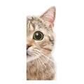 Adesivo murale dettagliato con gatto tigrato e occhi verdi per decorazione creativa - Gatto / 13*26cm