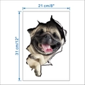 Detalle del adhesivo de pared 3D carlino con dimensiones 21 cm x 31 cm para decoración - Estilo Perro Pug Asomado (14110) 21x31cm