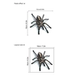 Pegatina 3D realista de araña para coche para cubrir arañazos, tamaño 18x16cm - Estilo Araña (A20) / Sin bolsa