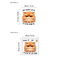 Vinilo decorativo de gato naranja con texto Don't Meowdle with Me para dormitorio - 10Y4-D46/40*40cm*1 Hoja (Sin Bolsa) / Amarillo