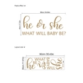 Adesivo murale oro Gender Reveal 'he or she' per arco di palloncini e decoro, 88x44cm - Scritta Artistica Inglese Oro (ZC296) / 30x90cm