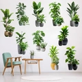3D self-adhesive wall decals featuring realistic indoor green plants for room decoration - Set Of 10 Potted Plants (KSXN-108L)