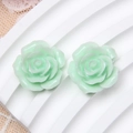 Paar 19mm mintgrüne Harzrosenblüten für DIY-Schmuck und Haarschmuck-Accessoires - 19mm / Mintgrün