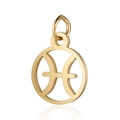 Macro view of gold-plated Pisces zodiac hollow pendant with mirror polished finish - Pisces / Gold