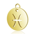 Detail of 12mm gold stainless steel round charm with hollow Pisces zodiac symbol - Gold Pisces