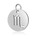 Macro view of 12mm mirror polished Scorpio zodiac charm with hollowed-out engraving - Steel Scorpio