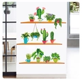 3D potted green plants wall stickers with wood grain shelves for home wall decoration - XH9309 Spider Plant Cactus