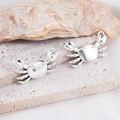 Shiny silver crab alloy pendants for DIY ocean-themed jewelry making and accessories - Polished Crab