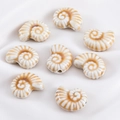 DIY colorful ocean series cream white nautilus ceramic beads for handmade jewelry - White Nautilus Shell Ceramic Bead (15.5x21.5mm)