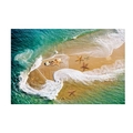 Sticker mural thème océan avec étoiles de mer et marguerites blanches sur plage tropicale - Plage Étoile de Mer Petit (-10-50*70CM)
