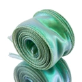 Iriserend turquoise vissenstaart garenlint van 4 cm voor cadeau- en taartverpakking - 9m / Lichtgroen
