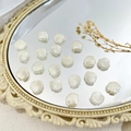 Schulpparel kralen voor DIY armbanden en telefoonkettingen in crème witte afwerking - Schelp Stijl