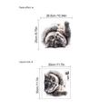 Cute grey longhair cat wall sticker with layout dimensions 30x30cm and paste effect display - Cat (FB052)