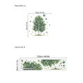 Wandtattoo grüne Birke mit Vögeln und Schmetterlingen für moderne Wanddekoration - Grüner Baum Stil (ZC880)