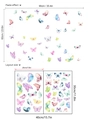 Kleurrijke aquarel vlinder muurstickers met lay-out en weergave van het plakeffect - Kleurrijke Aquarel Stijl (DZY126)