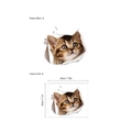 Adesivo murale 3D gatto soriano marrone con dimensioni del layout di 20cm per 18cm - 18*20CM
