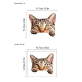 3D realistic tabby cat wall sticker with layout dimensions and paste effect details - Tabby Cat Style (KG160)