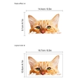 3D realistic orange cat wall sticker showing paste and layout dimensions 16.7x10.6cm - Ginger Cat Style (KG161)