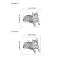 Realistischer grau gestreifter Katzenwandaufkleber für Lichtschalter mit Maßen - Graue Getigerte Katze (KG245)