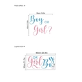 Adesivi murali per rivelazione genere con testo Boy blu e Girl rosa con dimensioni - ZD972/30*60-Girl or boy