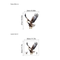 Eagle flying wall decal layout size 30x30cm and final paste effect for home decor - Eagle (SC412) / 30x30cm