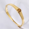 Polished 18K gold-plated stainless steel bangle with a round brown tiger eye stone - Gold