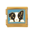Edelstahl-Charme-Glied in Goldoptik mit einem Cartoon-Border-Collie-Motiv im italienischen Stil - Border Collie Muster (HB-36)