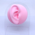 Pink silicone ear model with acrylic display stand for jewelry and medical teaching - Right Ear Model (Includes Transparent Stand) / Pink