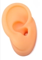 Realistic soft silicone ear model in skin tone for jewelry display and medical teaching - Skin Tone Left Ear (With Bracket)