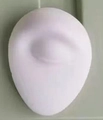Eye Model / White