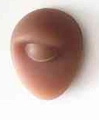 Silicone eye model for makeup training and medical teaching in natural skin tone - Eye Model / Brown
