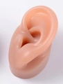 Flesh-colored soft silicone human ear model for jewelry display and medical teaching - Oval Base Left Ear Model / Brown