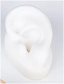 Lifelike white silicone right ear model for medical acupuncture and piercing display - Oval Base Left Ear Model / White