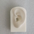 Modèle d'oreille droite en silicone blanc pour enseignement médical et bijoux - Modèle d'Oreille Gauche à Base Carrée / Blanc