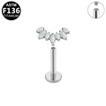 Macro detail of F136 titanium labret stud with fan-shaped marquise white opal inlay - Silver / White Opal Fan Style (G23LAI139-S)